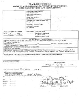 Grand jury subpoena Lisa Irwin case | The Published Pen